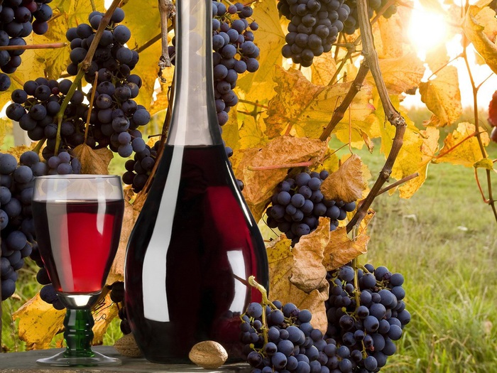 grapes_18 (700x525, 167Kb)