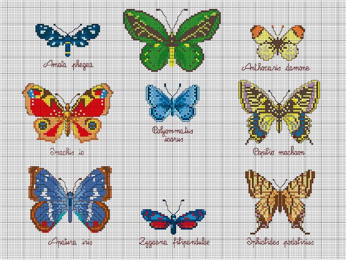 farfalle (700x525, 130Kb)