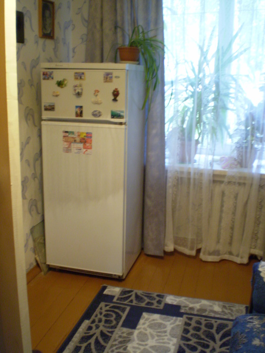 P7140307 (525x700, 120Kb)