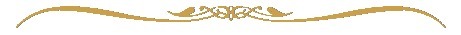 0_62b21_ec275186_XXL (461x35, 5Kb)