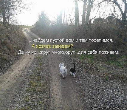 image (426x369, 92Kb)