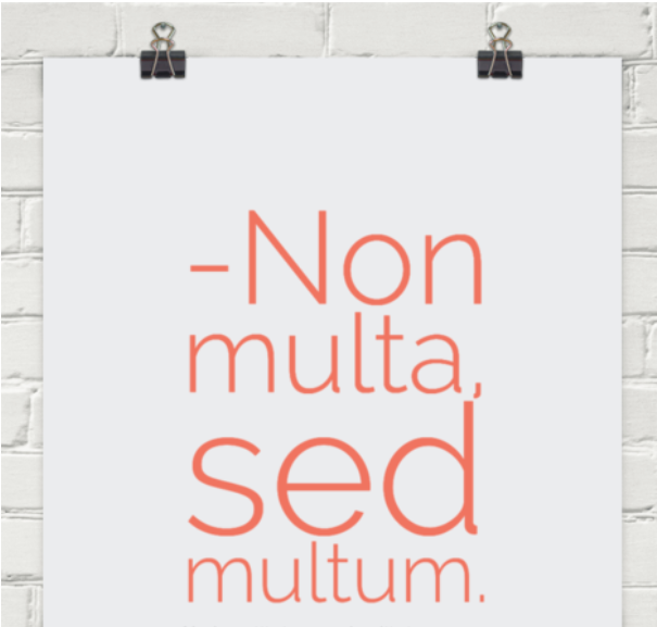 Multum non multa