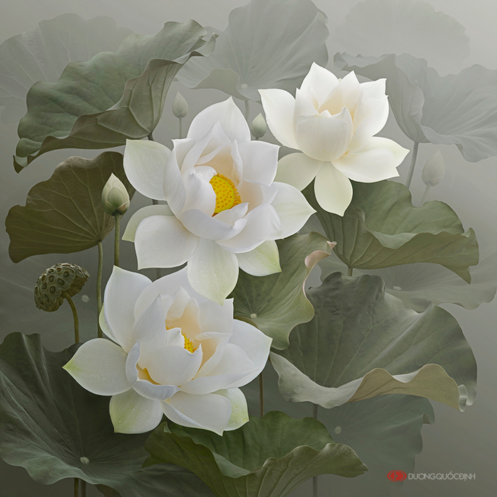 duong quoc dinh 0 (700x700, 442Kb)