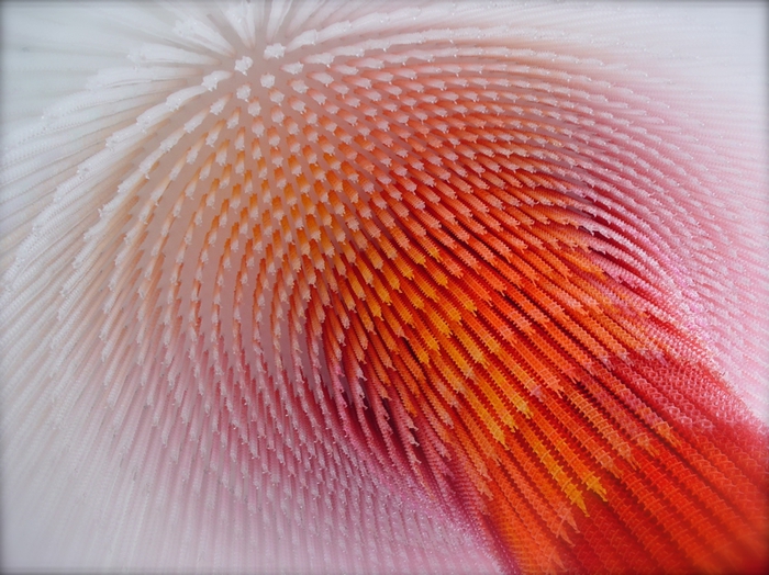 3623822_82Q (700x524, 315Kb)