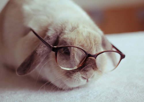 89089233_1341581699_tumblr_m639qpjTbn1qaay1oo1_500 (500x356, 89Kb)
