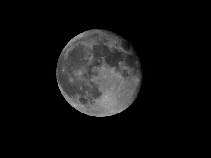 5559494_DSC061161 (700x525, 43Kb)