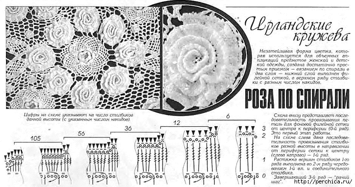 роза-по-спирали-описание-схемы (700x369, 252Kb)