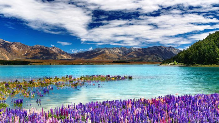 Lake-Tekapo-Amazing (700x394, 99Kb)