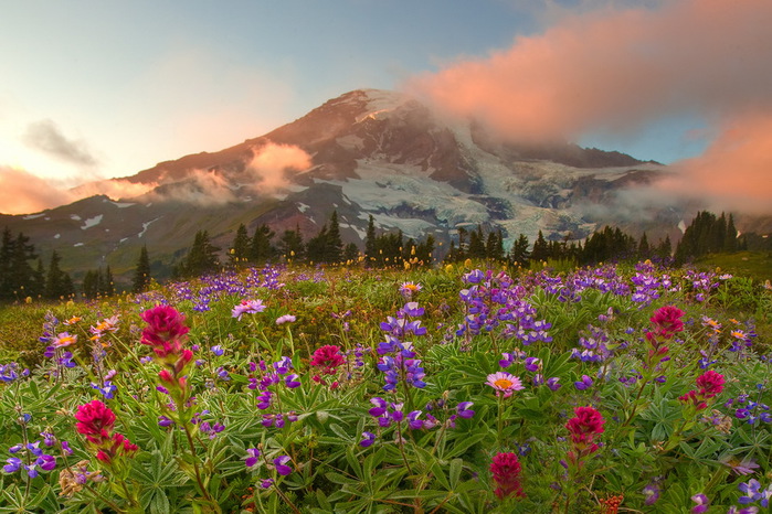 Olympic_National_Park_02 (700x466, 156Kb)