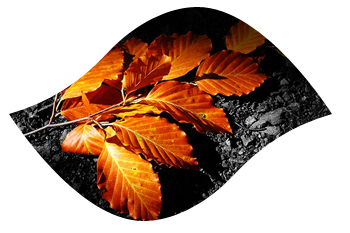 _ (350x233, 99Kb)
