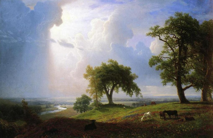 california-spring (700x455, 288Kb)