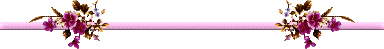 62850061_x7a8rp0s (384x49, 4Kb)