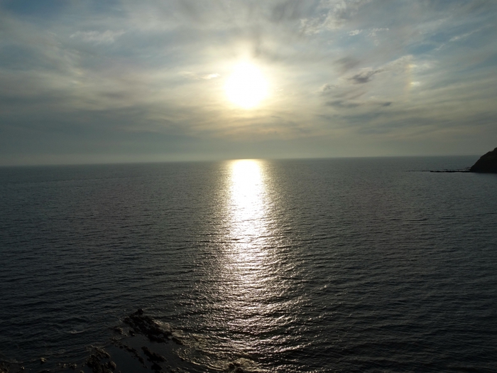 5559494_DSC07523 (700x525, 231Kb)