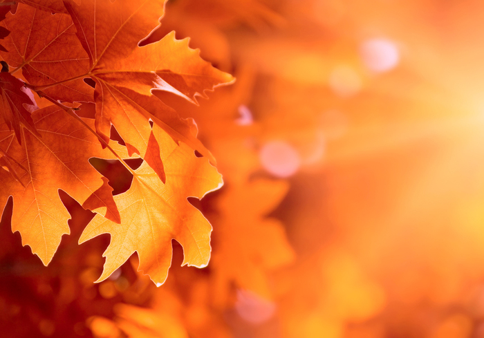233416a32361 (700x489, 251Kb)