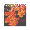 1411422223_tumblr_m9kuuwsKwQ1ry6rxro1_500 (100x100, 49Kb)