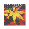 1411422451_tumblr_nc9sdkVw0F1tlsw03o1_500 (100x100, 40Kb)