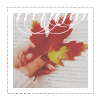 1411422470_tumblr_nc9sminQkH1rk14lto1_500 (100x100, 33Kb)