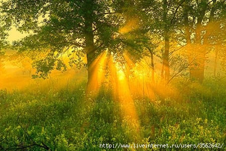 image (8) (450x301, 135Kb)