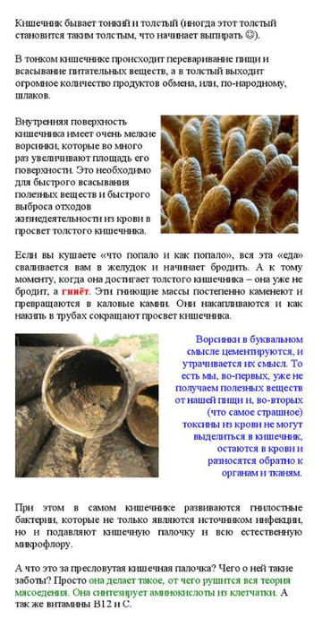 ochichenie_kishechnika_очищение-кишечника_2 (360x700, 231Kb)