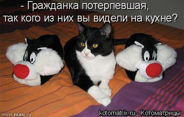 13498557_81332thumb650 (610x389, 208Kb)