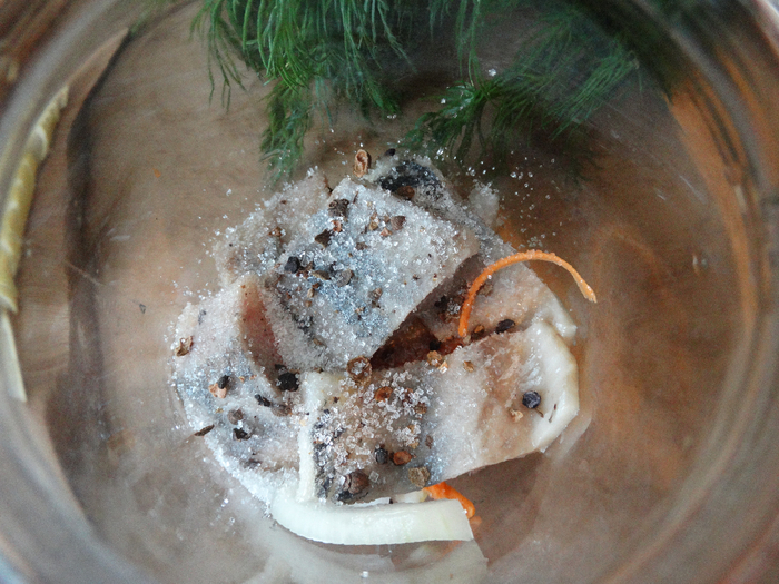 DSC01774 (700x525, 475Kb)