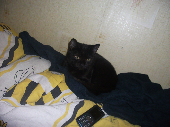DSCF6697 (700x525, 432Kb)