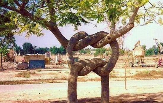 Публикация «Фотоотчет „Дерево из бисера“ своими руками» размещена в разделах