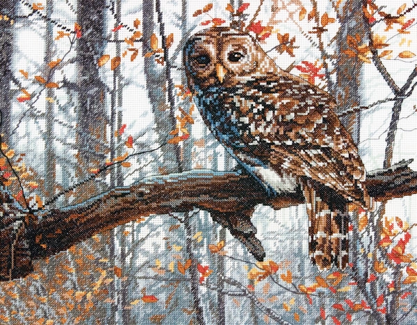 Stitchart-Wise-Owl0 (600x468, 393Kb)