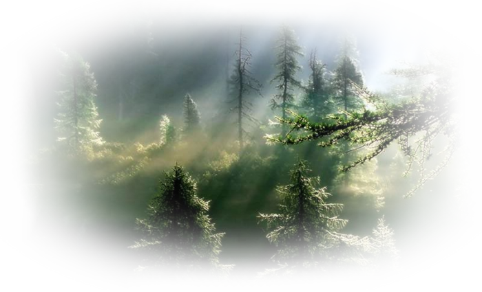 DragonBluMistedTube_1109_DarkForest (700x425, 475Kb)