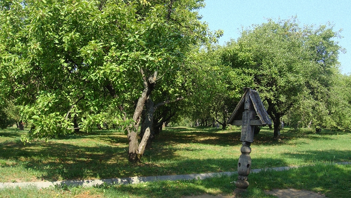 5107871_DSC09301_1_ (700x395, 316Kb)
