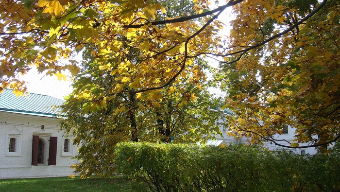 5107871_DSC00934 (700x395, 323Kb)