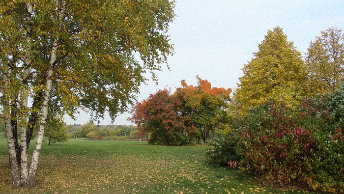 5107871_DSC01012 (700x395, 304Kb)