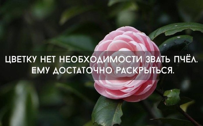 3827565_pt0Q3MYzCsE (700x433, 47Kb)