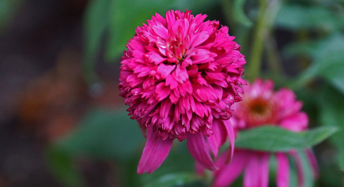 025_edited-2 (700x381, 75Kb)