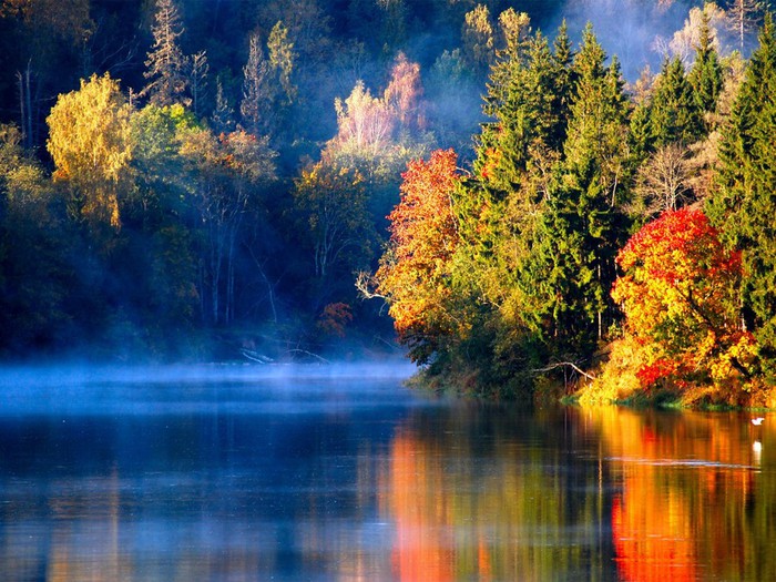 autumn-latvia-river-morning-forest-fog-nature-1440x1920 (700x525, 148Kb)