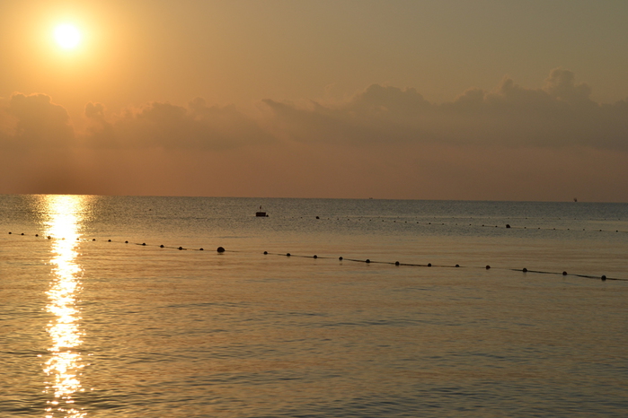 DSC_0490 (700x466, 195Kb)