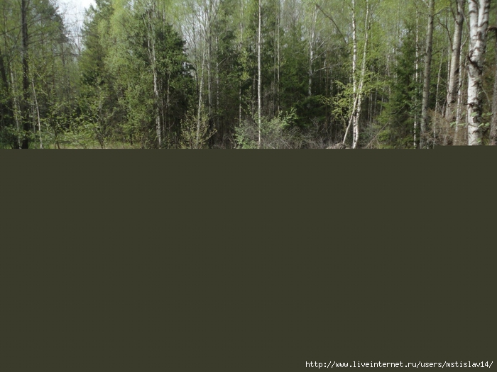 ijZv8Iv6khc (700x525, 197Kb)