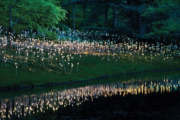 original (600x400, 193Kb)