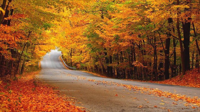 _Autumn_0026 (700x393, 106Kb)