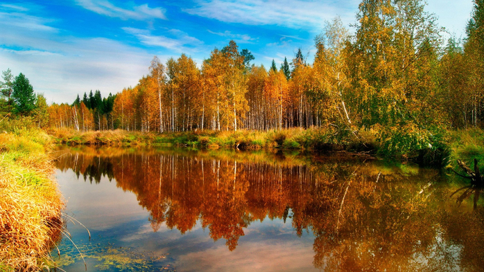 _Autumn_0079 (700x393, 476Kb)