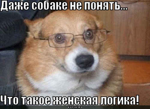 4432201_jenskaya_logika_dazhesobakeneponyat_1292594836 (500x363, 20Kb)