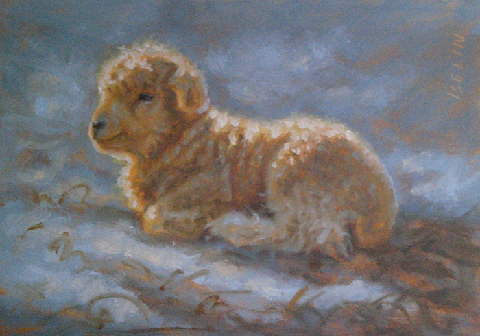Lamb_Lying_Down.35584907_large (700x490, 402Kb)