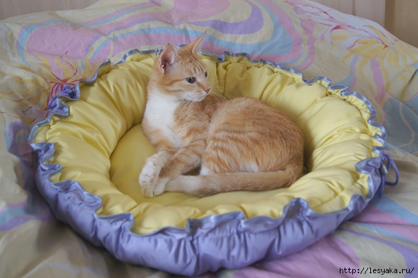 Как сшить лежанку для кошки Тапок и Кот – выкройки и мк