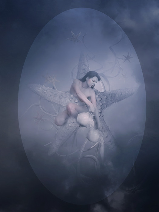 3623822_Amandine_van_Ray5 (525x700, 43Kb)