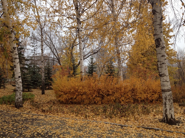 image-17-10-14-09-17-1 (700x525, 282Kb)