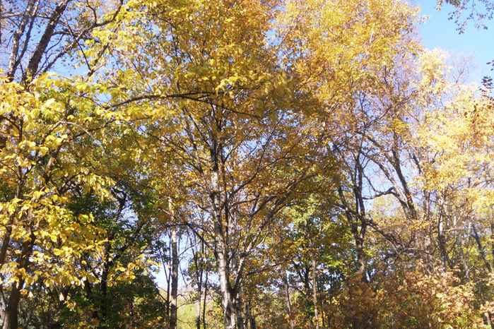 2  (3) (700x466, 679Kb)