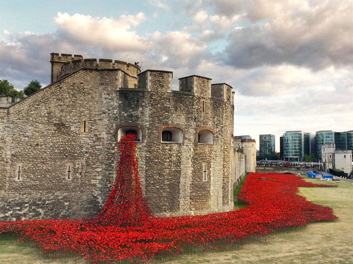 ceramic-poppies-first-world-war-installation-london-tower-12 (700x523, 443Kb)