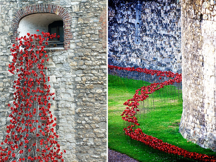 ceramic-poppies-first-world-war-installation-london-tower-11 (700x526, 697Kb)