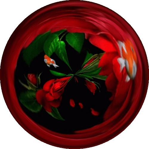 c1a1dfa07cbd584c_o.jpgМОЙ ШАР (500x500, 179Kb)