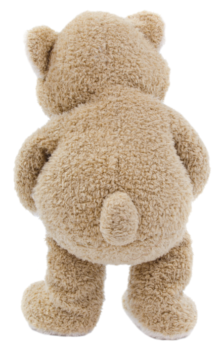 Teddy Bear (2)ss (445x700, 475Kb)